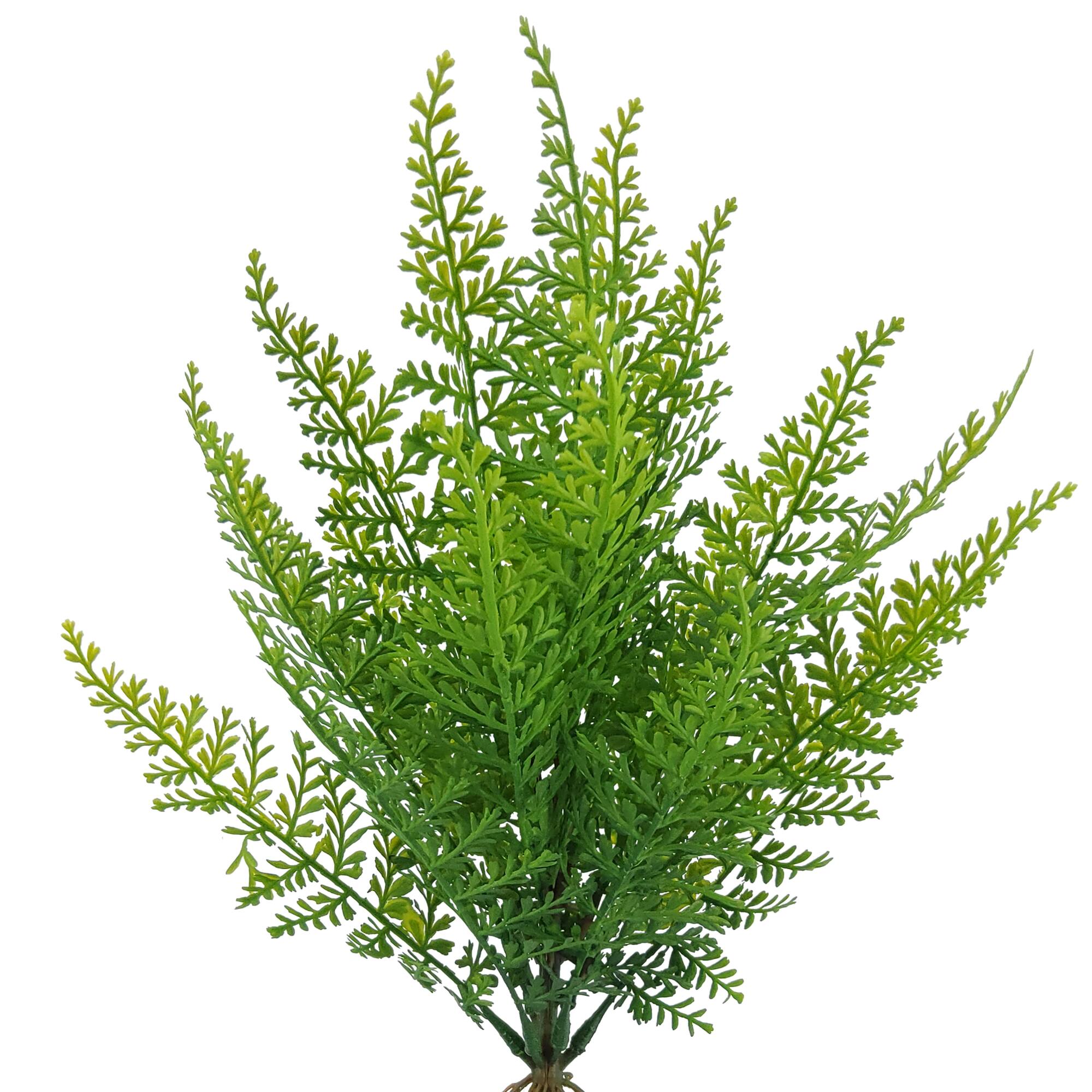 16" Coral Fern by Ashland®